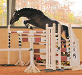 Contratto free jumping, photo by Angela Pritchard.